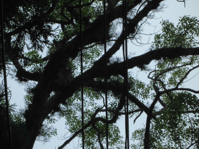 f0318967_15141273.jpg