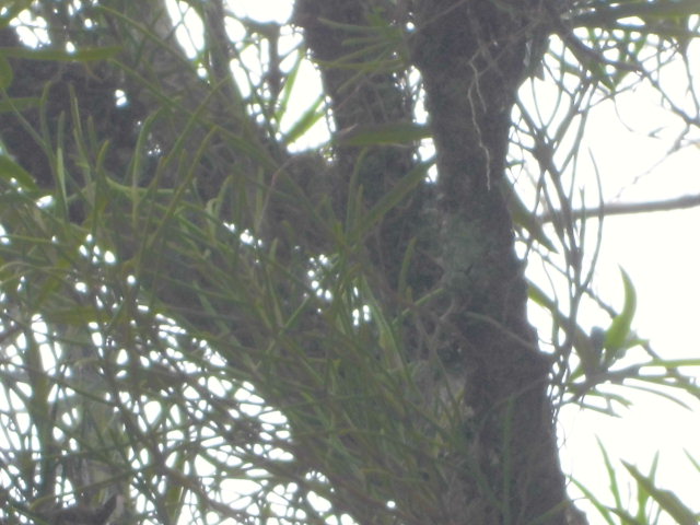 f0318967_15143406.jpg