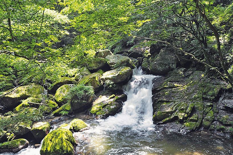 b0197678_1181040.jpg