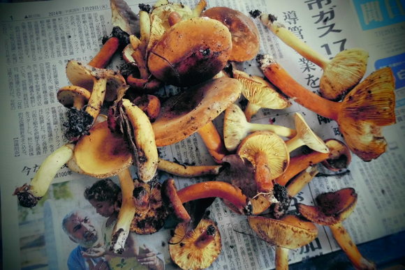 c0237780_17495147.jpg