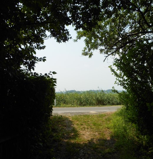 c0198781_6101566.jpg