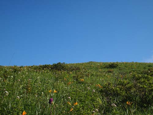 a0224382_053314.jpg