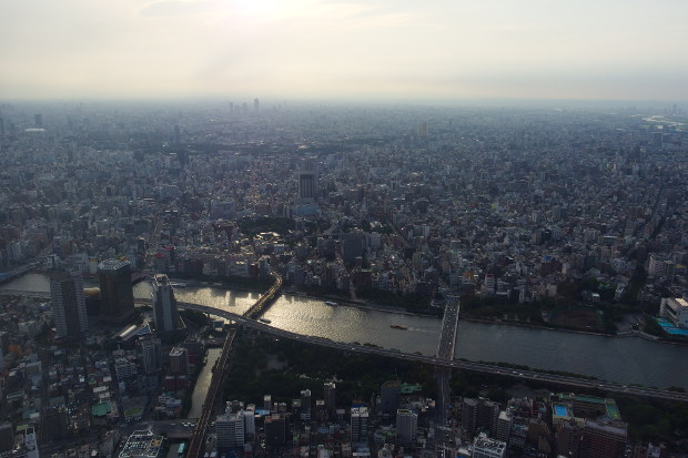 a0189883_0473078.jpg