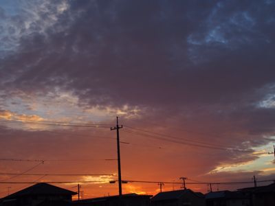 f0329188_825780.jpg