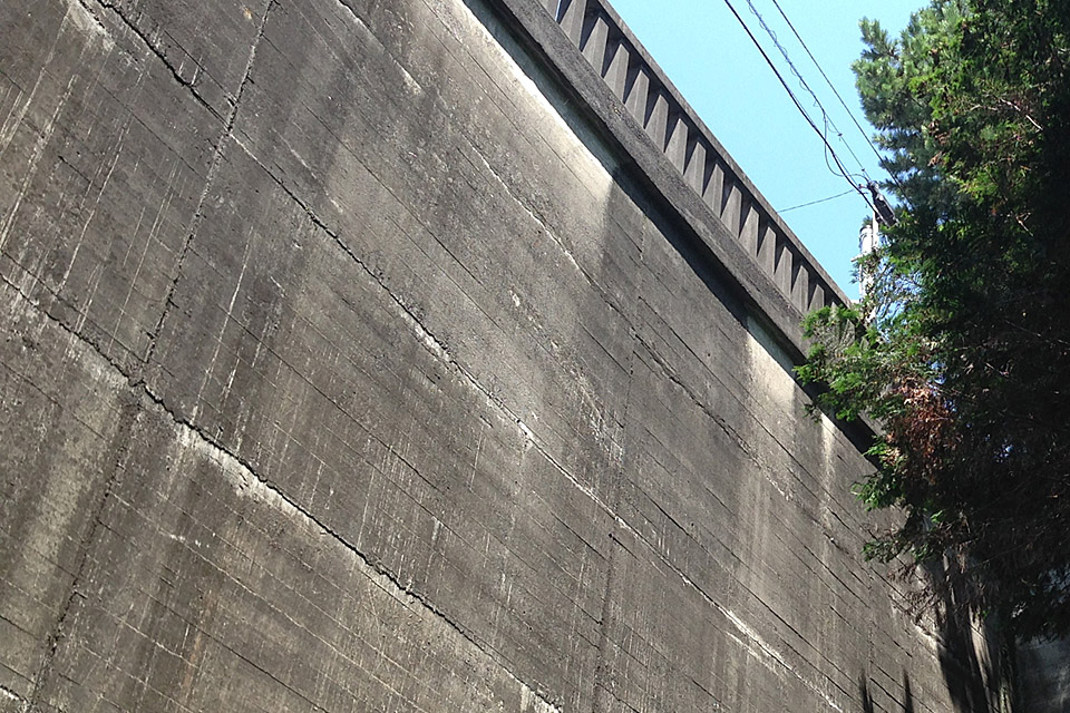 c0170789_11275853.jpg