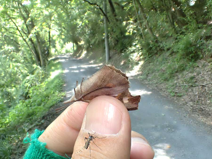 e0253104_00051635.jpg