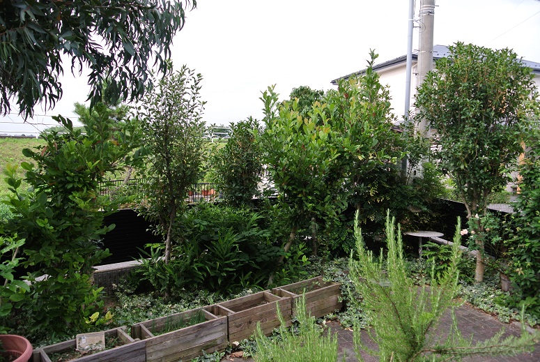 f0179209_9182694.jpg