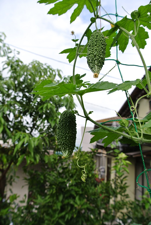 f0179209_9185291.jpg