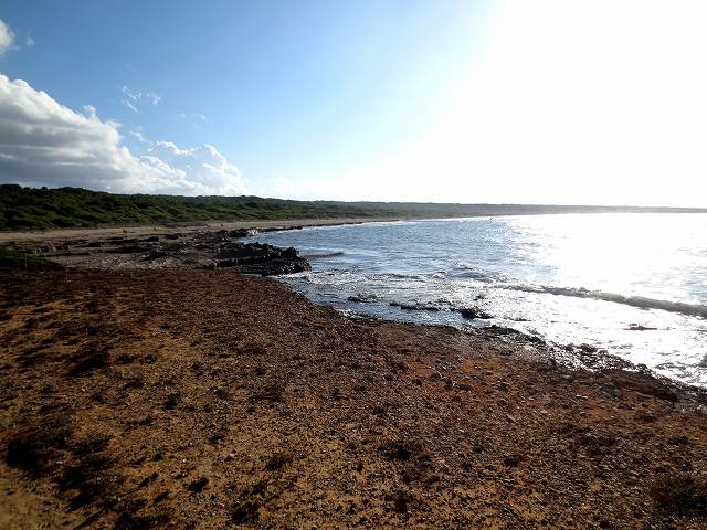 b0064411_04525387.jpg