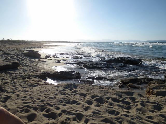 b0064411_04525408.jpg