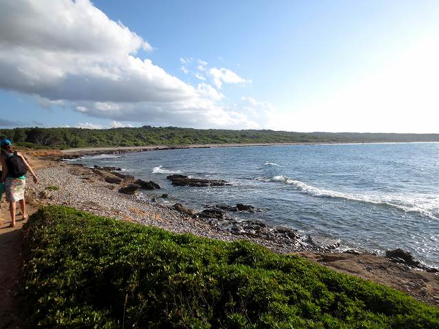 b0064411_04525409.jpg