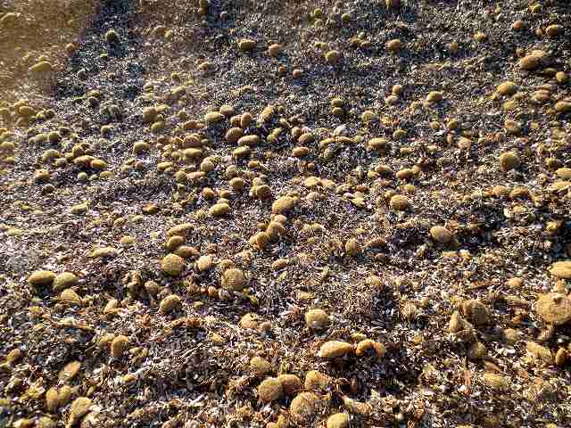 b0064411_04525484.jpg