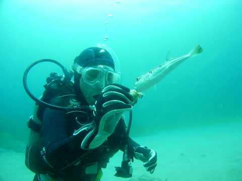 b0326613_23331677.jpg