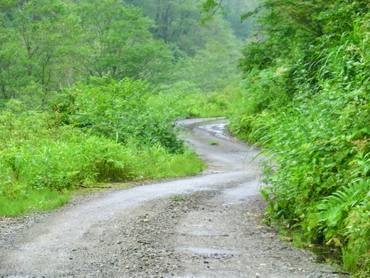 d0221319_9482791.jpg