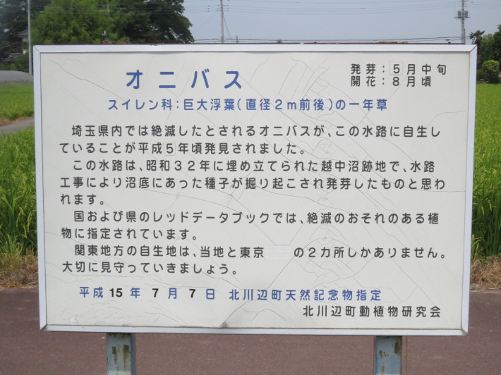 c0087023_17382845.jpg