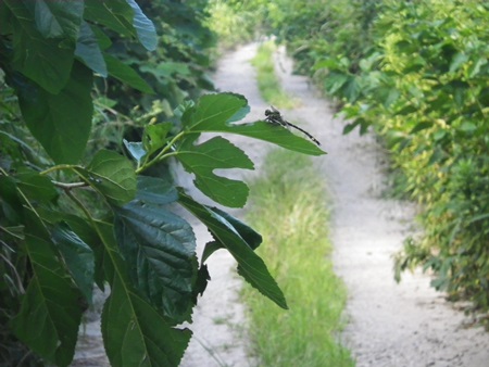 b0312424_21405072.jpg
