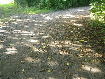 b0312424_21411249.jpg