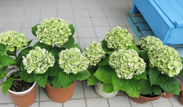 f0129726_22492120.jpg