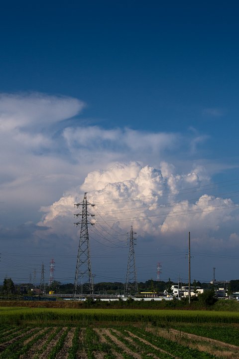 b0134829_19355149.jpg