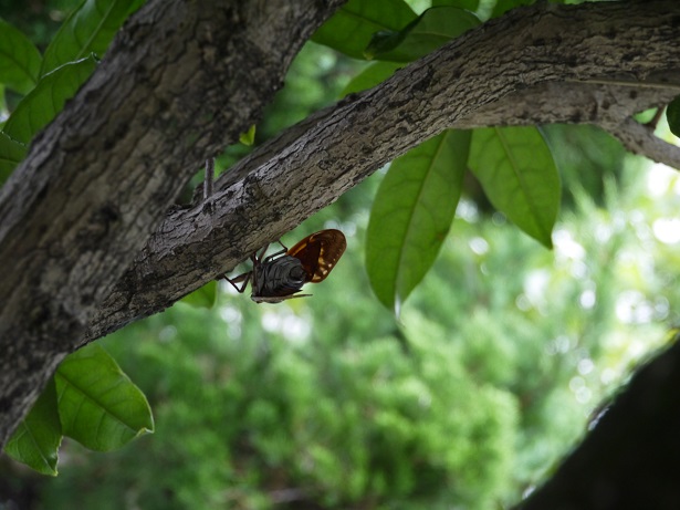 f0231829_22220113.jpg