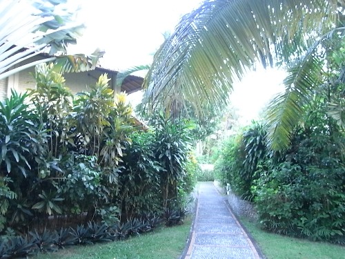 e0039033_2262597.jpg