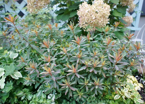 f0205733_00182249.jpg