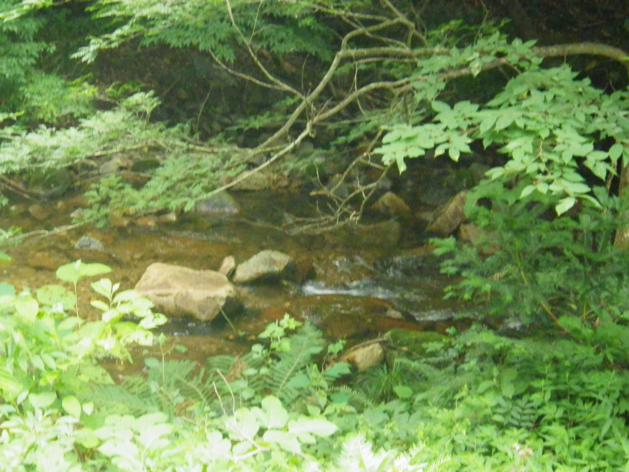 c0300035_16102520.jpg