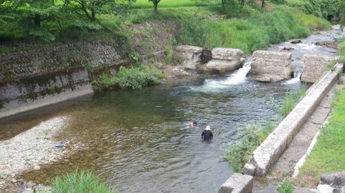 c0300035_164270.jpg