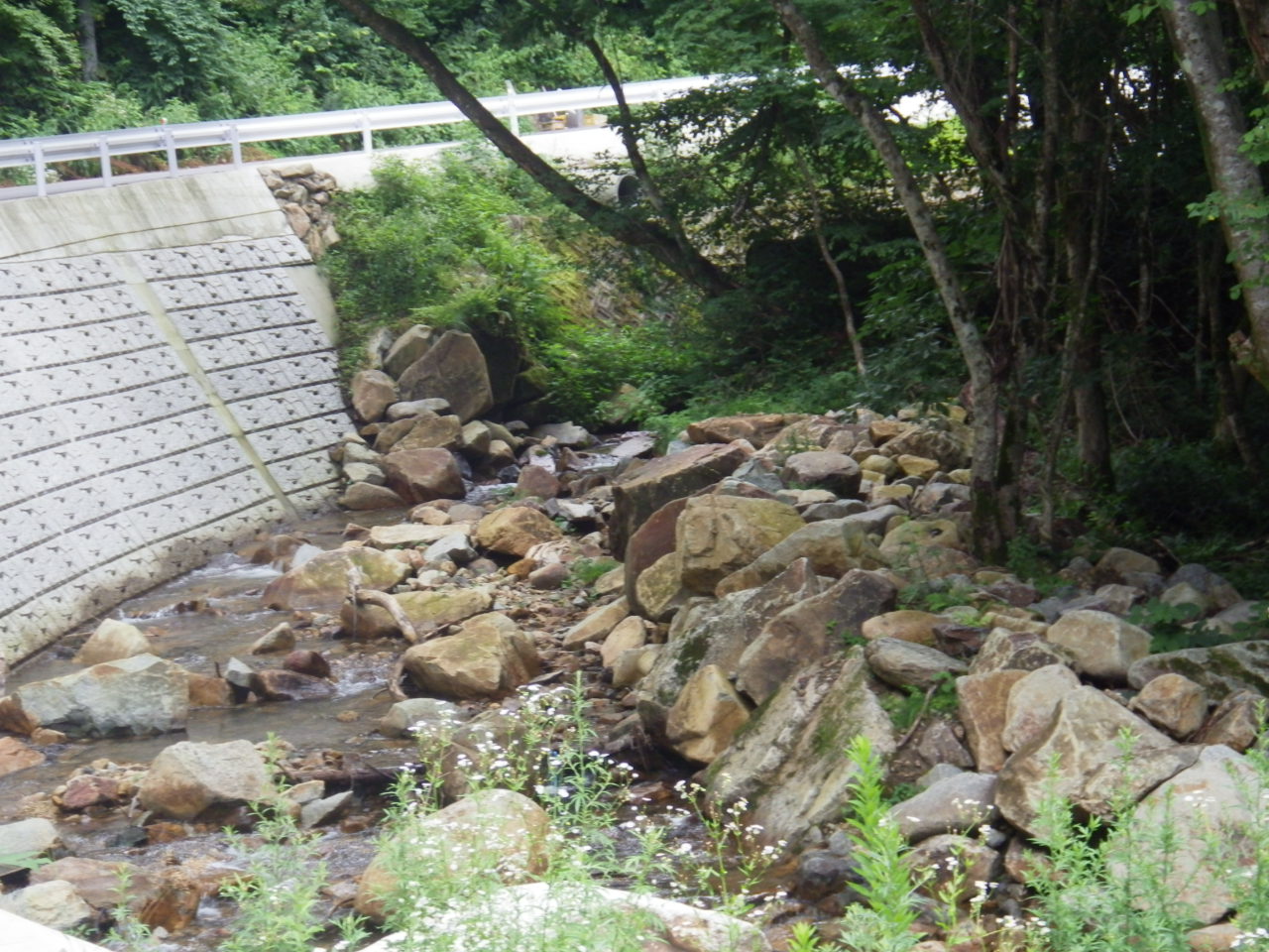 c0300035_169326.jpg