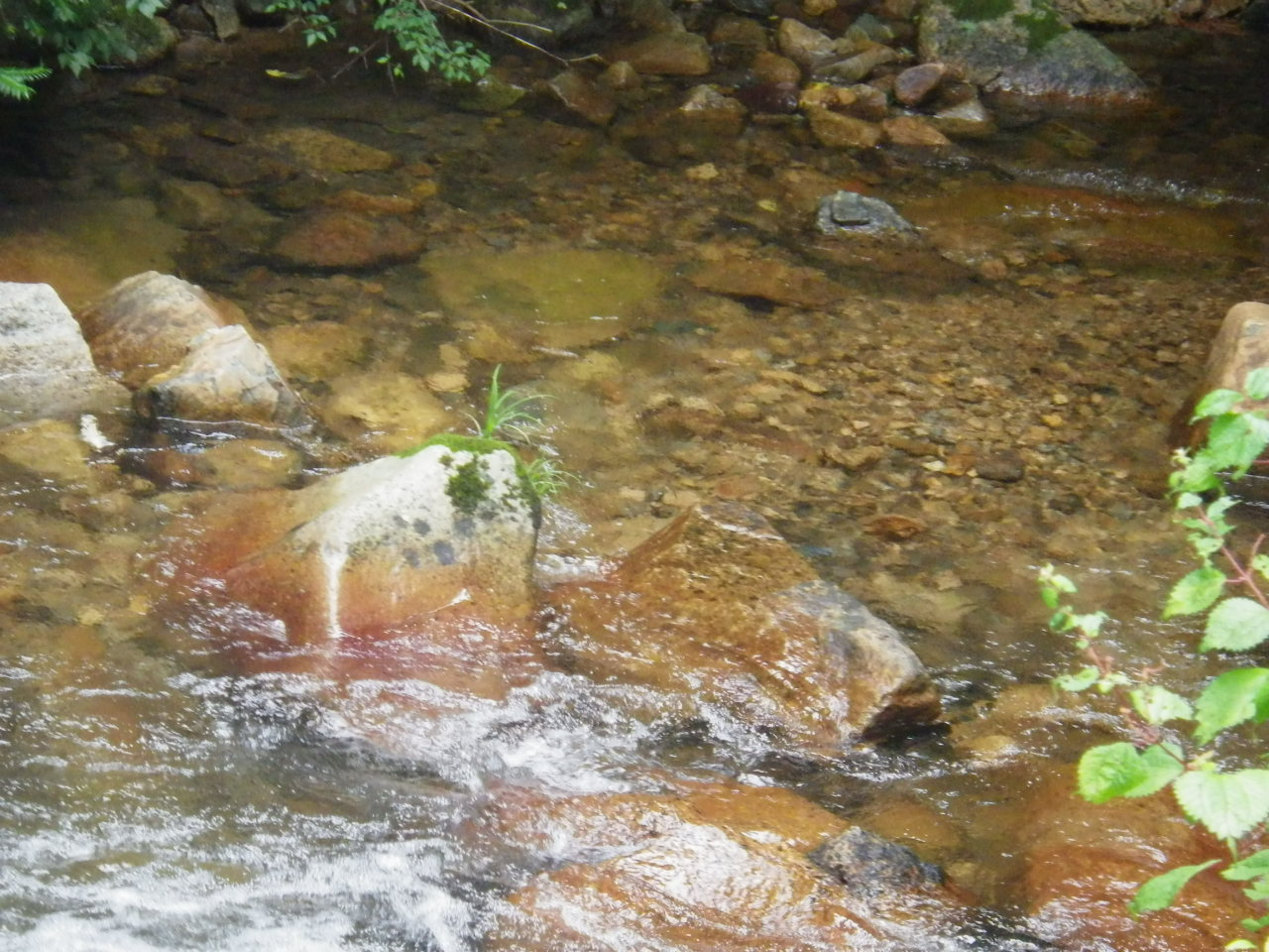 c0300035_1694720.jpg