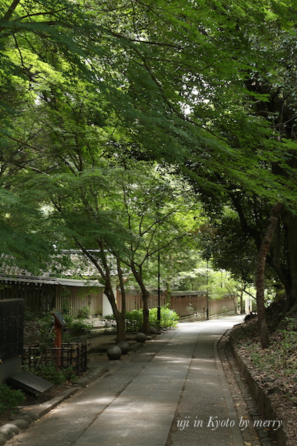 a0207736_04297.jpg