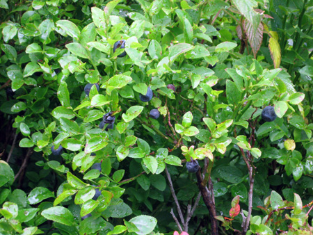 f0234936_6405463.jpg