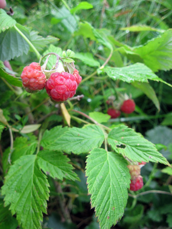 f0234936_641172.jpg