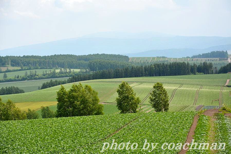 a0315942_22365397.jpg