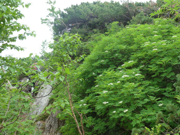 d0288144_15494506.jpg
