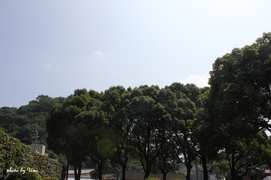 f0351844_10374965.jpg