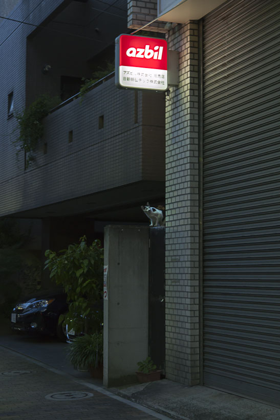 f0077849_2130091.jpg