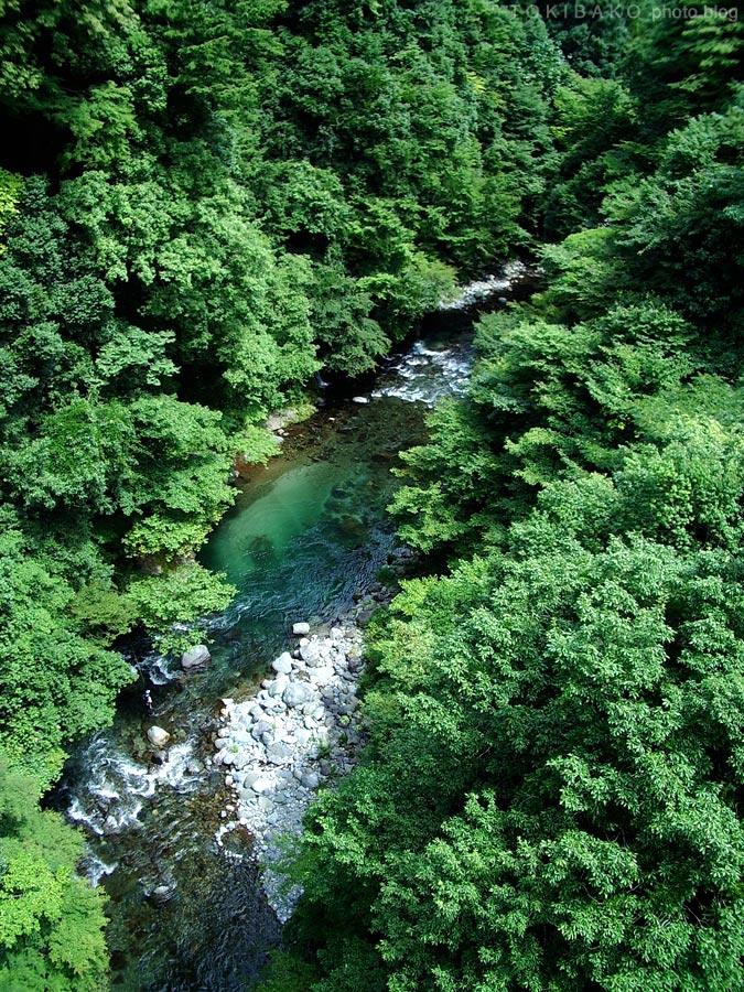 d0100156_23291368.jpg