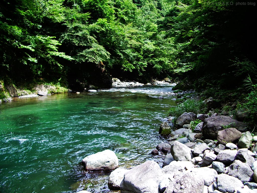 d0100156_23333385.jpg