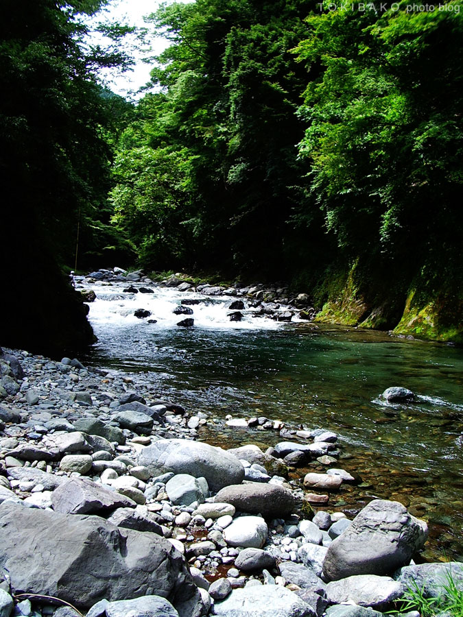 d0100156_23353326.jpg