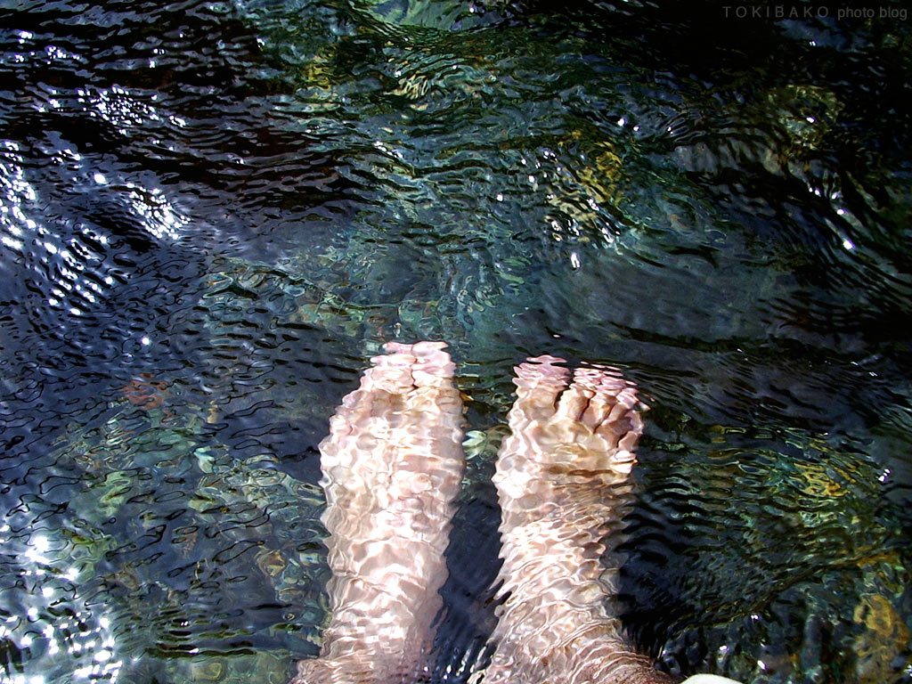d0100156_23401221.jpg