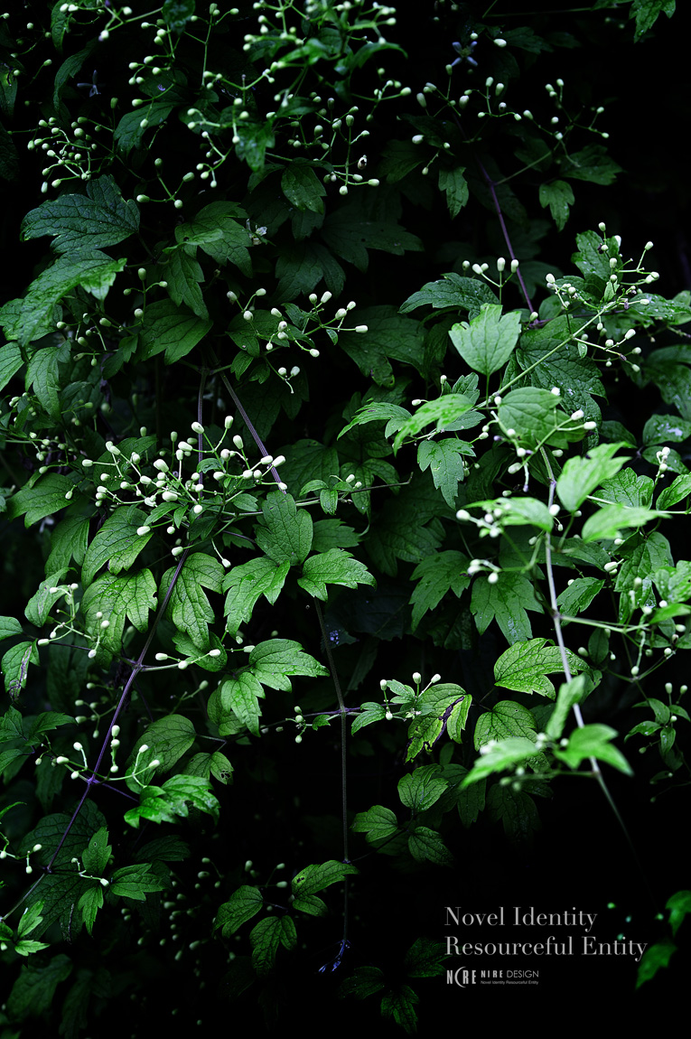 e0188168_16532211.jpg