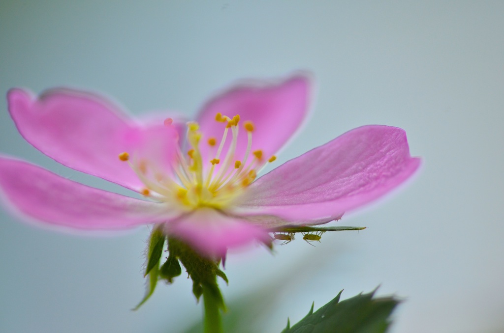 a0262369_1910335.jpg