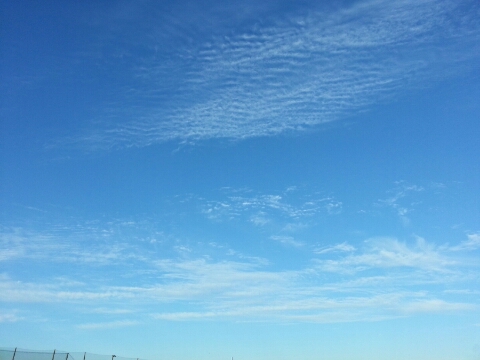 e0306075_12273036.jpg