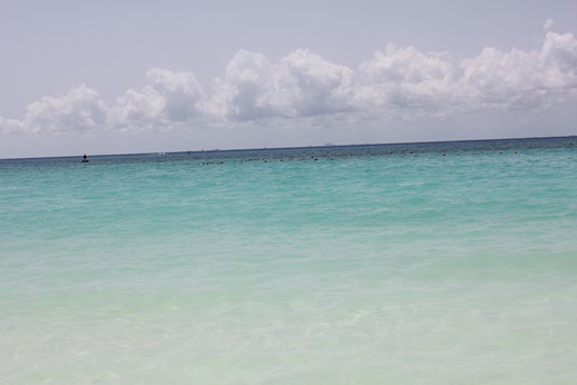 e0203477_21322562.jpg