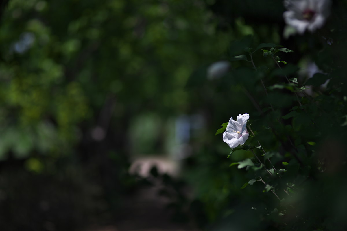 a0083081_1742431.jpg