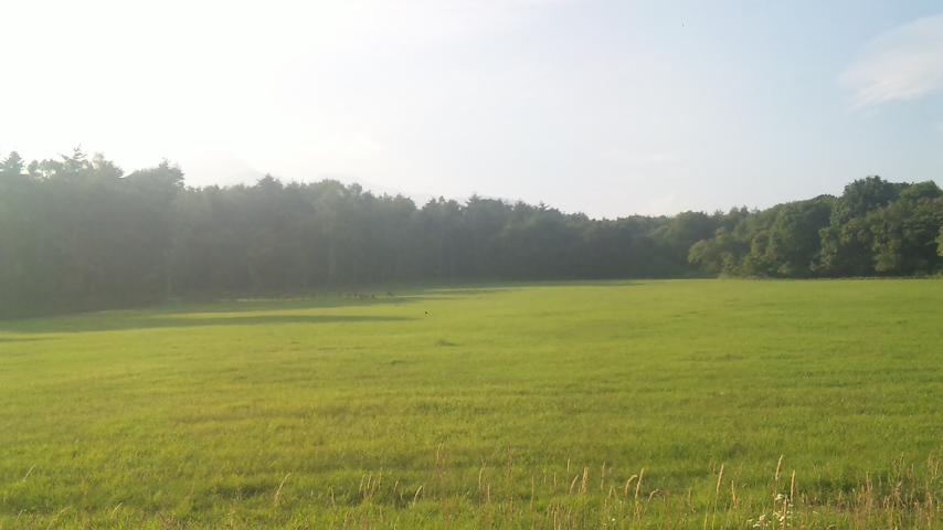 f0131183_14009.jpg