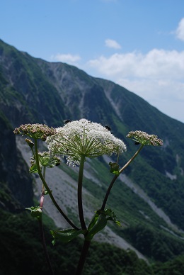 a0133886_17491027.jpg