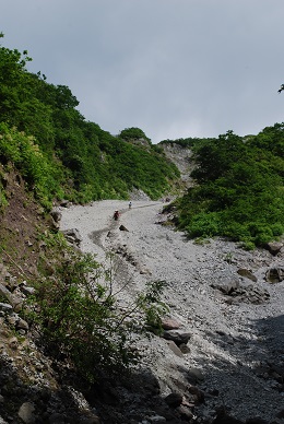 a0133886_17504712.jpg