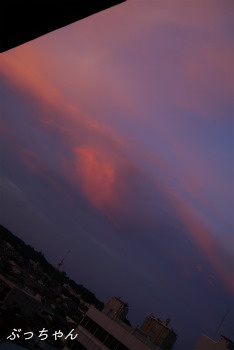 f0353990_18364364.jpg